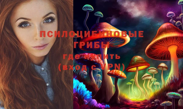 кокаин перу Богданович