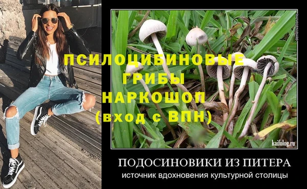прущие крисы Слюдянка