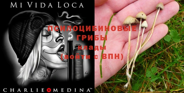 MDMA Premium VHQ Богородск