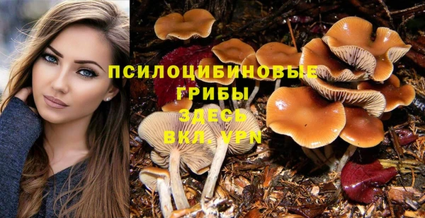 Альфа ПВП Снежинск