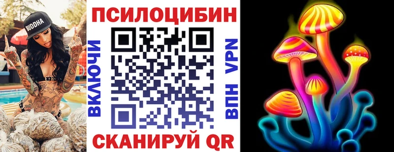 Псилоцибиновые грибы Psilocybine cubensis где можно купить наркотик Кириши